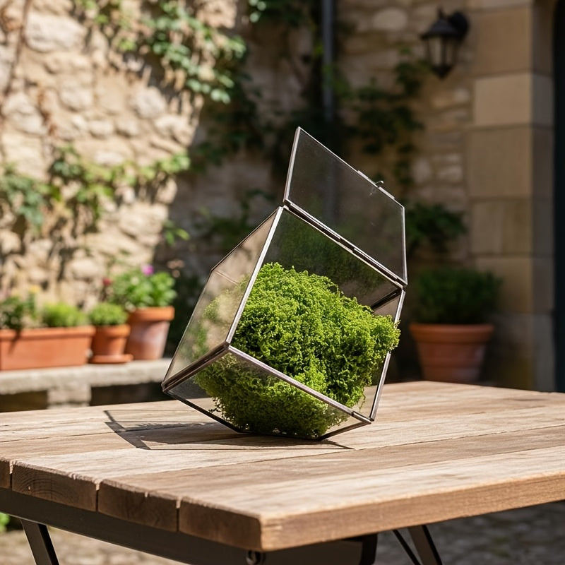 150mm -Glass Aquarium Suitable for Moss Terrariums - Handcrafted Geometric Terrarium Tank with HD View Panel, Sturdy Durable Black Frame for Low-Maintenance Miniature Ecosystems, Office & Garden Decoration (Moss Planting), DIY Craft Materials